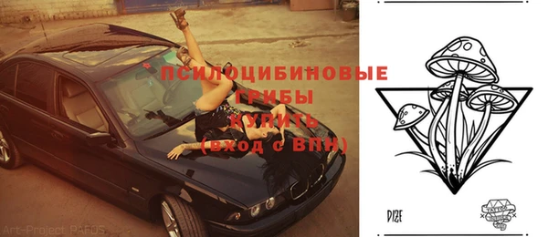 прущая мука Арсеньев