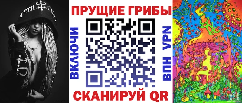 Псилоцибиновые грибы GOLDEN TEACHER  Чернушка 