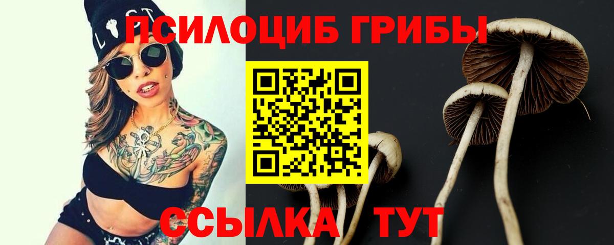 Чернушка  Галлюциногенные грибы мухоморы  даркнет сайт  Вход с VPN 